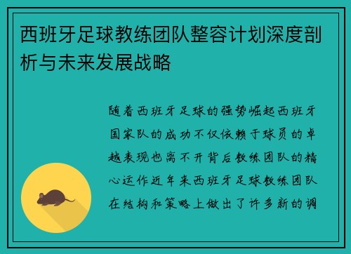 西班牙足球教练团队整容计划深度剖析与未来发展战略